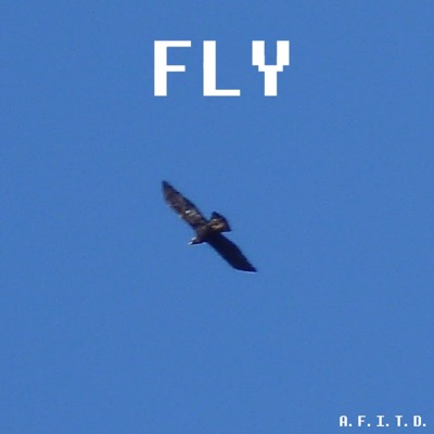 Fly - Single