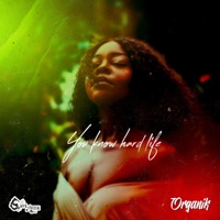 U Know Hard Life - Single - Organik