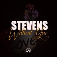 Without You - Single - Stevens
