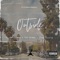 Outside (feat. Ysr Gramz & Trap Dizzle) - Dj Fat Jordan lyrics