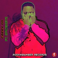 Carry Go (feat. Spicekeyz) - Single - Riddimbanger