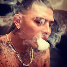 Dengarkan Flakobandz, tonton video musik, baca bio, lihat tanggal tur & lainnya!