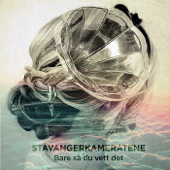 Bare så du vett det - Stavangerkameratene Cover Art