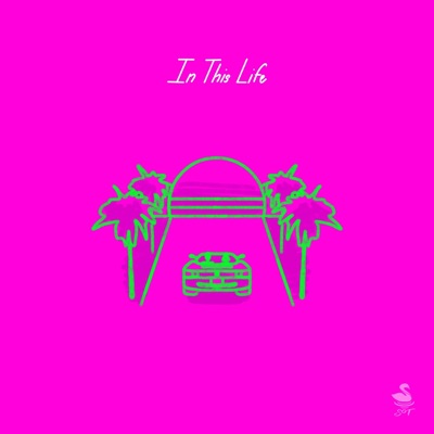 In This Life (feat. Swizzy Max) - Single