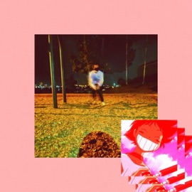 Yousuckaus (remix) Physique.