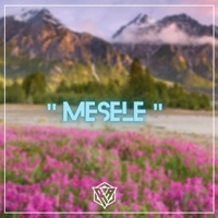 Mesele - Single - Remix Avcisi