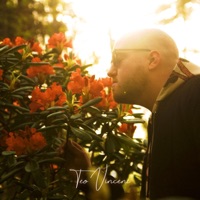 Tunne - Single - Teo Vincent