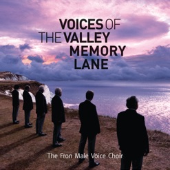 VOICES OF THE VALLEY - MEMORY LANE cover art