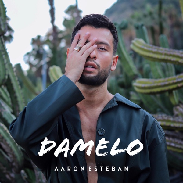 Damelo