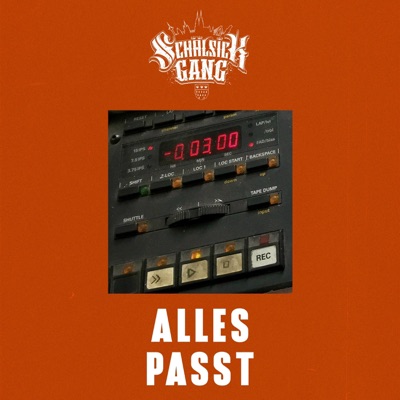 Alles passt (feat. Benyo51 & Fly51) - Single