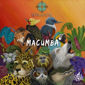 Macumba