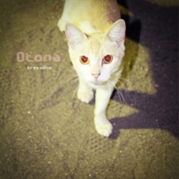 Otona - Single