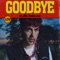 Goodbye - Alex Parker lyrics