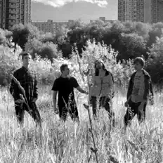 聆聽 МЛНКМ、觀看音樂影片、閱讀小傳、查看巡演日期等！