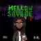 Professional (feat. Rixh 5lime) - Mellow $avage lyrics