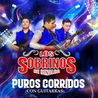 Puros Corridos (Con Guitarras) - Los Sobrinos De Sinaloa