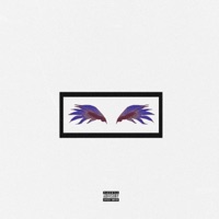 Fly - Single - CSABA