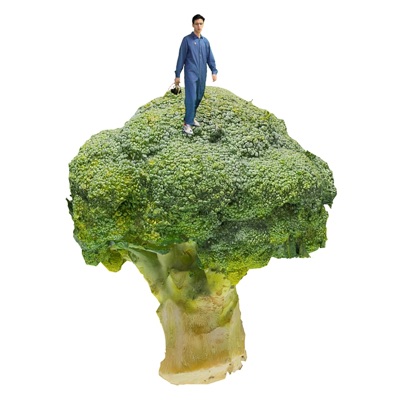 Nazywam się Franek - Single