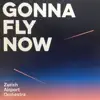 Zurich Airport Orchestra - The Very Best of Earth, Wind & Fire: In the Stone / Getaway / After the Love Has Gone / Fantasy