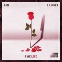 Fake Love (feat. Lil Dimes) - Single - Nati