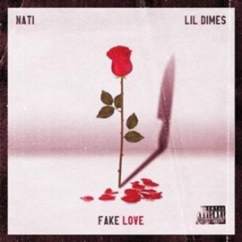 Fake Love (feat. Lil Dimes) Nati