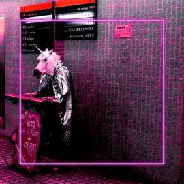 This Is Neurocorn Prdk