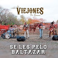 Se Les Pelo Baltazar - Single - Los Viejones De Linares