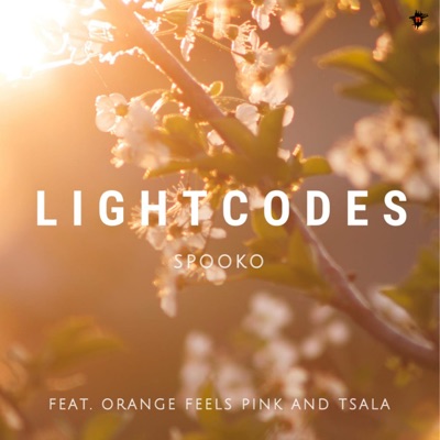 Lightcodes (feat. Orange Feels Pink & Tsala) - Single