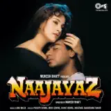 Alka Yagnik - Tujhe Pyar Karte Karte