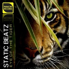 Eye of the Tiger (feat. Survivor) - Single