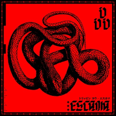 Destrucción artwork