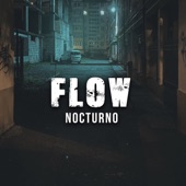 Flow Nocturno artwork