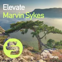 Elevate — Marvin Sykes