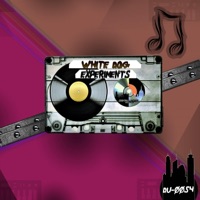 Experiments - Single - White Dog