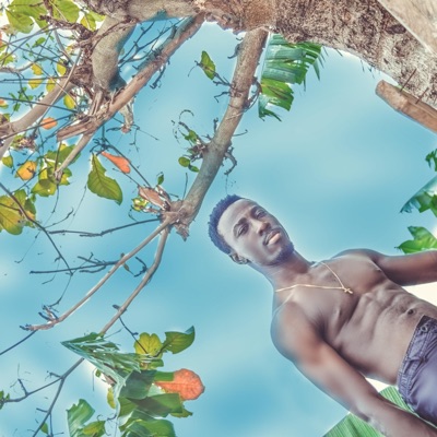 Sansankroma - Single