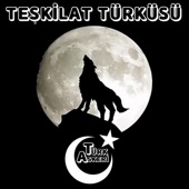 Teşkilat Türküsü artwork