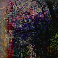 Violets (feat. Feelnum) - Single - Jackson Sadinsky