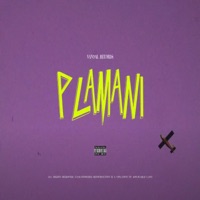 Plamani (feat. Moer) - Single - 4416