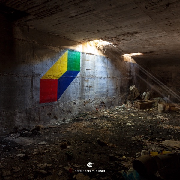 Seek the Light - Single