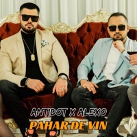 Pahar De Vin (feat. Alexo) - Single - Antidot