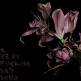 A very f*****g sad song (feat. ROSESIA) Icanfly