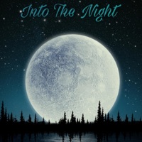 Into the Night - Single - Leane
