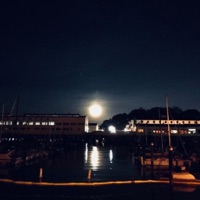 Out of Sight - Single - Noah Rosen