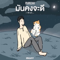 มันคงจะดี (Instrumental) - Single - NINEW