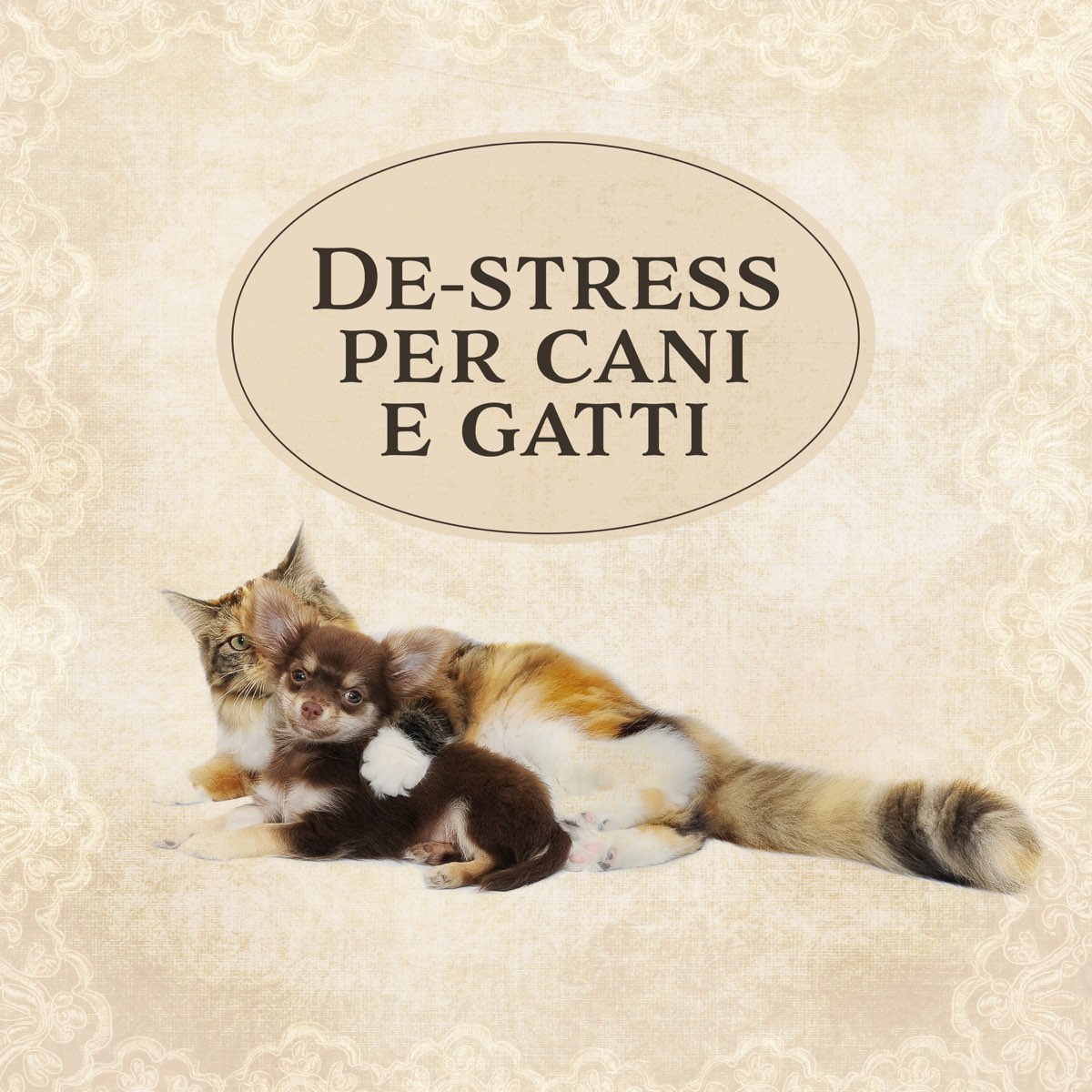 De-stress per cani e gatti: Musica rilassante per aiutare i tuoi animali a  calmarsi by Musica Terapeutica Naturale on Apple Music