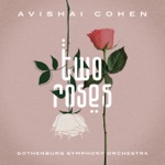 Avishai Cohen - A Child Is Born