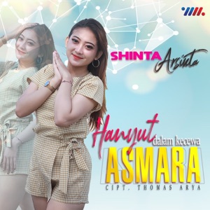 Hanyut Dalam Kecewa Asmara (feat. Koplo Santuy) Album Art