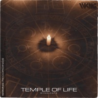 Temple of Life - Single - Syndicate
