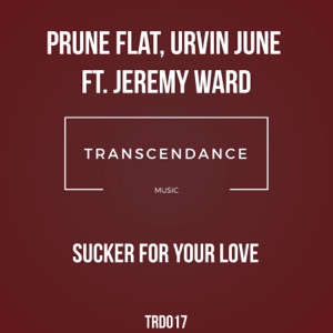 Sucker for Your Love (feat. Jeremy Ward) - Single
