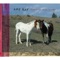 She's Got to Be - Amy Ray lyrics